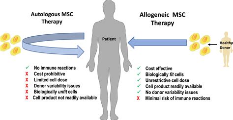 Autologous Versus Allogeneic Mesenchymal Stem Cell Therapy The Pros