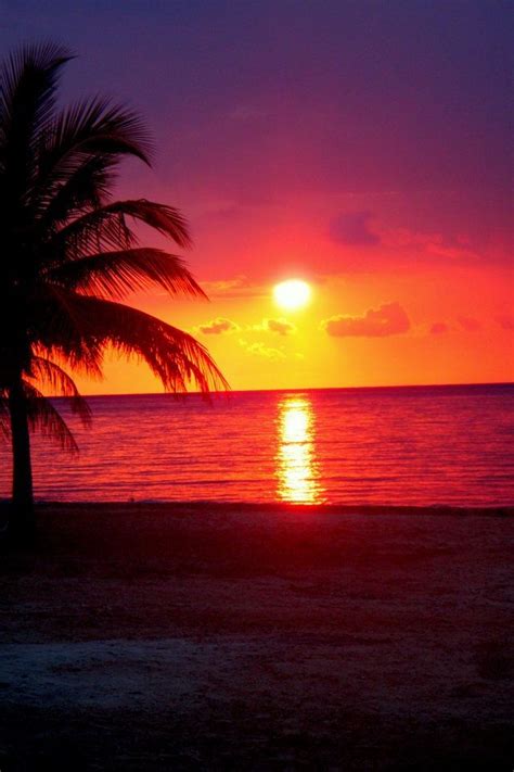 Cancun Mexico My Dream Sunset With My Love Dream Honeymoon Travel