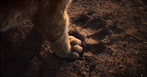 The Lion King Trailer Welcomes Us To The Pride Lands