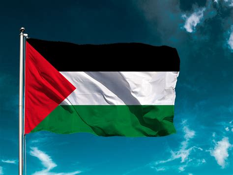 Achetez le drapeau de Palestine - Acheterdrapeaux.com