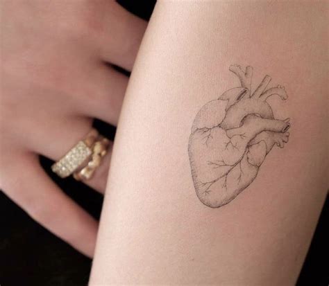 Pin By Eva Garcia On Book V In 2020 Heart Tattoo Anatomical Heart