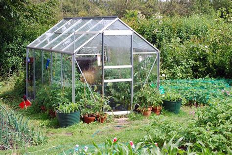 Glass Or Polycarbonate What Is The Best Type Of Greenhouse Glazing