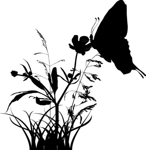 Butterfly On Wild Flower Silhouette — Stock Vector © Drpas 8544163