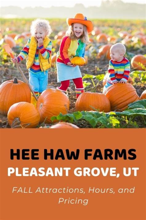 Hee Haw Farms Pleasant Grove Ut Fall 2022 Attractions Hours And