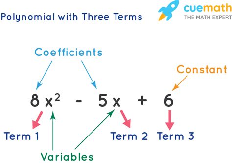 Types Of Polynomials Based On Degree Based On Terms Examples