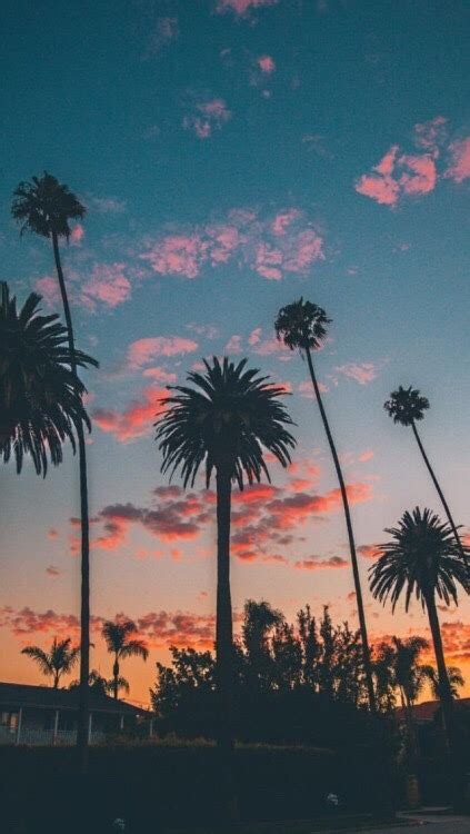 Aesthetic Sunset Tumblr