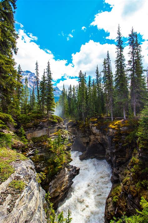 Athabasca Falls Athabasca River Jasper National Park Alberta Kanada
