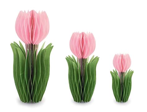 Tulipanes 3d Frontend