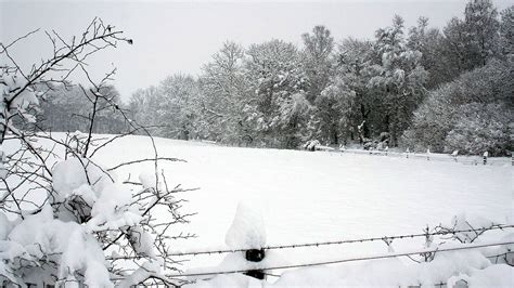 Download Wallpaper 1920x1080 Snow Winter Park Fence Trees