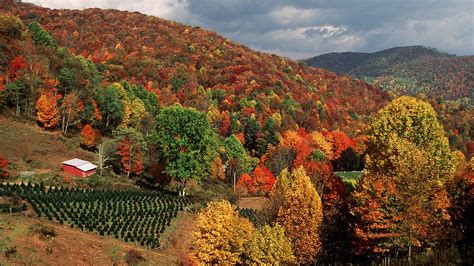 Western Nc Fall Foliage Map When Leaf Colors Could Change Charlotte