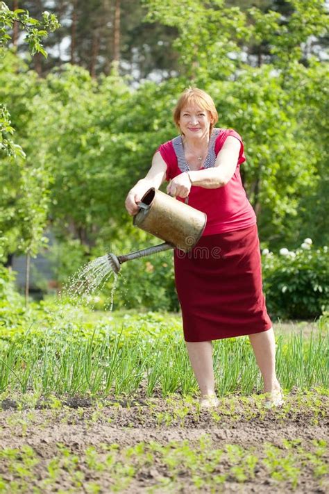 Woman Watering Plant At Garden Stock Photo Image Of Spray Gardening