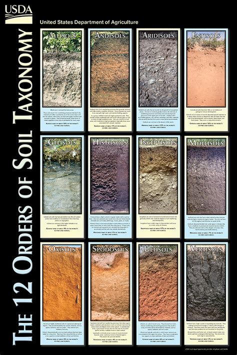 Usda Soil Classification Map