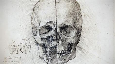 Bbc Culture Leonardo Da Vincis Groundbreaking Anatomical Sketches