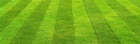 West Michigan Lawn Care Why You Should Choose Caretakers