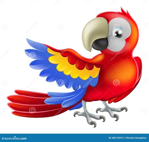 Macaw Parrot Cartoon Illustration Cartoondealer Com