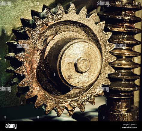 Gear Wheel Cogs And Screw Of Machine Taken Close Up Stock Photo Alamy