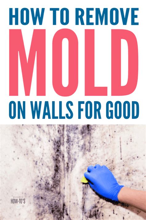 There are several methods to combat this unpleasant phenomenon. How to Remove Mold from Walls for Good » Housewife How-Tos®