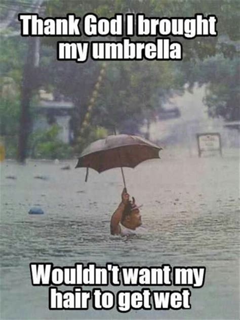 Umbrella Funny Picture Quotes Really Funny Pictures Really Funny