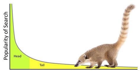 What Are Long Tail Keywords And Why Do They Matter In Content Marketing