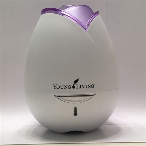 There are so many fantastic oils for skin, and you. Amazon.com : Young Living Everyday Oils Collection - 10 ...
