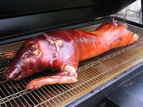 Whole Roasted Pigs In New Jersey Where To Get Them In Your Area