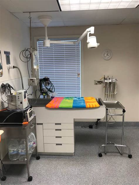 Beach pet hospital utilizes the latest technologies and most current techniques to practice the highest level of medical care possible for your pet. Pet Surgery in Virginia Beach VA | Beach Pet Hospital