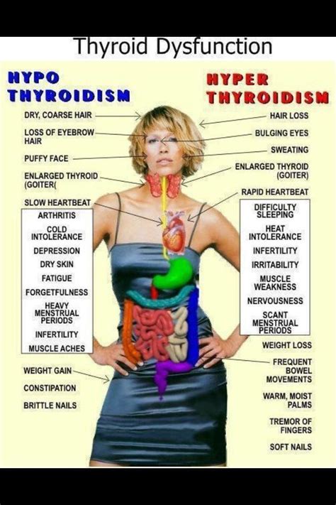Pin By Grace On Physical Therapy Thyroid Disease Thyroid Health