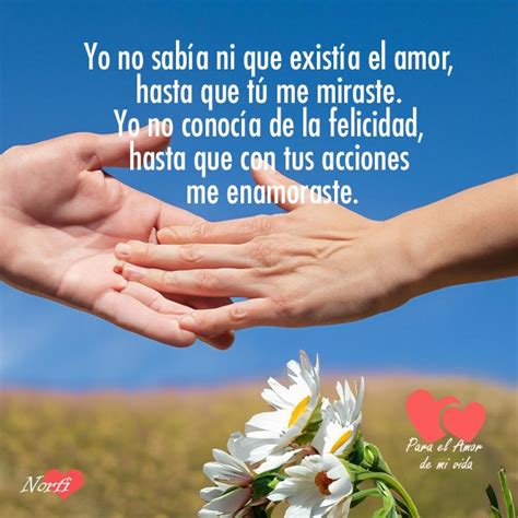 Frases De Amor Para El Hombre O La Mujer De Mi Vida