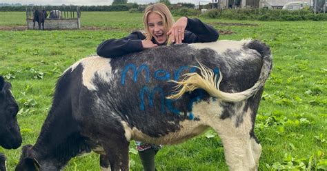 Watch Moment Farmer Uses Help Of His Beloved Cows For Fairy Tale Marriage Proposal Wiltshire