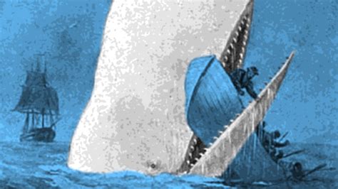 Moby Dick Oder Der Weiße Wal 33 Ndrde Kultur Sendungen Hörspiele Auf Ndr Kultur