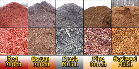 Different Types Of Mulch