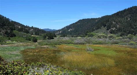 Rancho Del Oso Big Basin Redwoods State Park