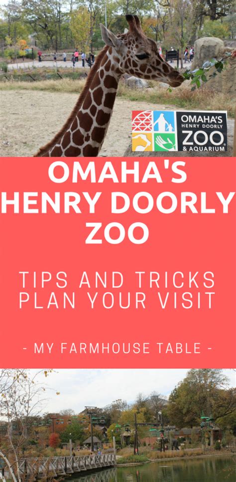 Omaha Henry Doorly Zoo Tips And Tricks To Plan Your Visit My
