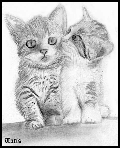 Imagenes De Gatitos Tiernos Para Dibujar A Lapiz Dibujos De Gatos A Sexiz Pix
