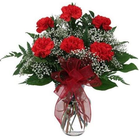 6 Red Carnations Vase Carnation Flower Arrangements Red Carnation