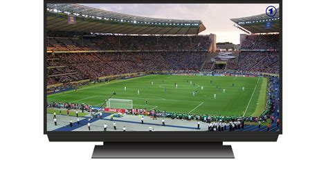 Why Live Sports Is Televisions Mvp Mediavillage