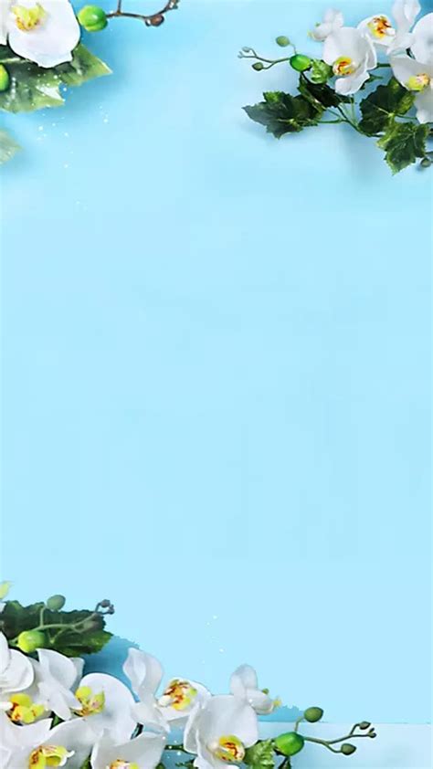 Gambar Sketsa Dan Wallpaper Bunga Gambar Bunga Biru Hd
