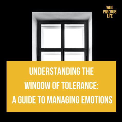 Understanding The Window Of Tolerance A Guide To Managing Your