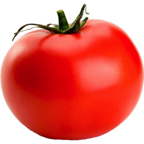 Tomato Free Images At Vector Clip Art Online Royalty