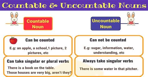 Count Nouns And Non Count Nouns