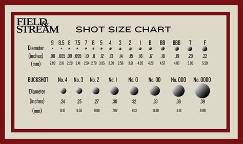Shot Size Chart And Guide For Birds Field And Stream