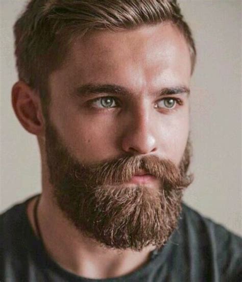 Best 25 Awesome Beards Ideas On Pinterest Beards Mens Beard