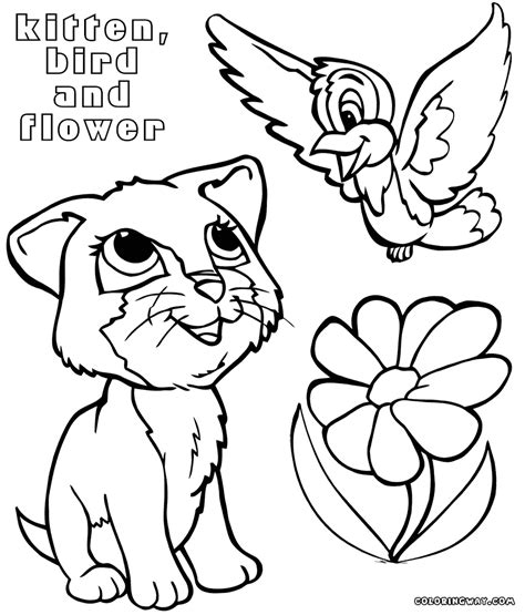 kitten coloring pages  print youronlinesportsguide