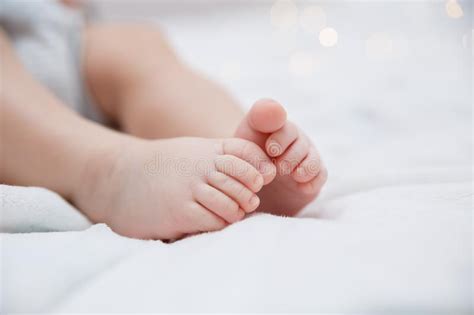 Baby Feet Closeup Stock Photo Image Of Person Sweet 101656774