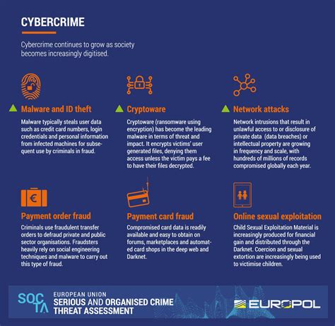 Cybercrime Infographic Facts