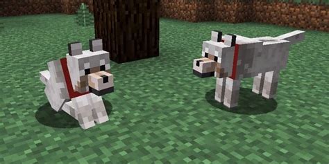 How To Tame A Wolf In Minecraft Minecraft Guide Guuvn