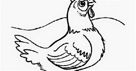 57+ Nama Hewan Dari Huruf C Dalam Bahasa Inggris