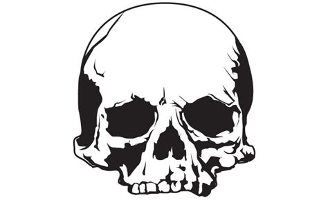 Skulls Vector Pack For Adobe Illustrator
