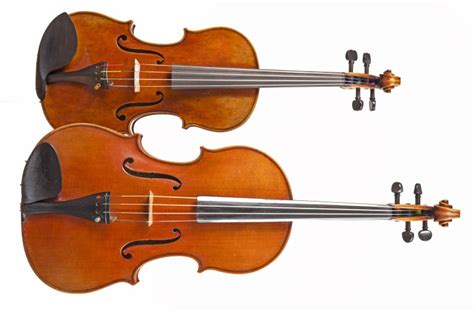 Difference Between Violin And Violas Yes They Are Not The Same
