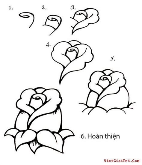 3 Cách Vẽ Hoa Hồng đẹp Lung Linh Sáng Tạo Tin Tức Giải Trí Rose